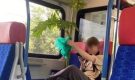 Свидание или дачная месть: пассажир с гигантским борщевиком озадачил электричку