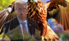 «Главный американский ястреб» отправился в мир иной