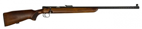 История калибра: популярный патрон .22LR